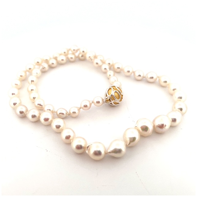 #10596 shot_20230404152724