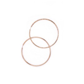 #0238 nausnice-002 (1)