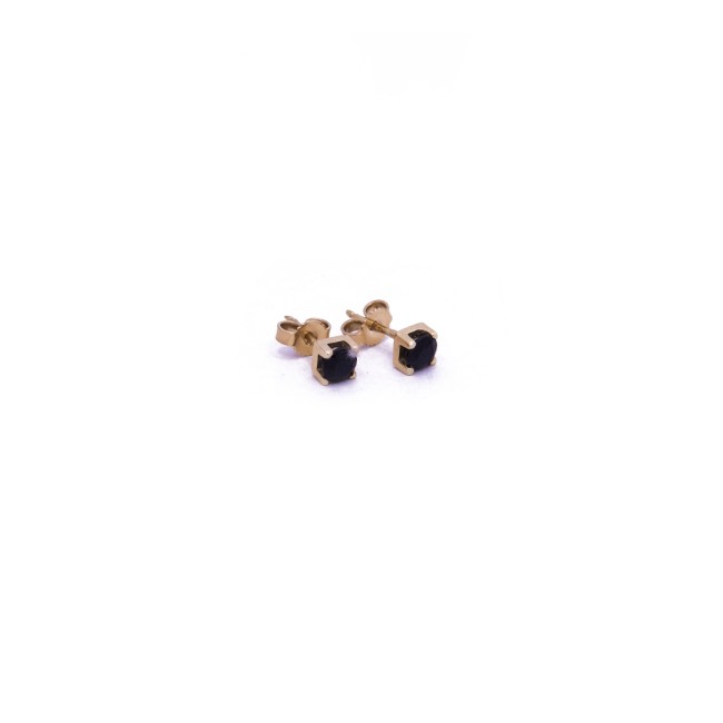 #0243 nausnice-009 (1)